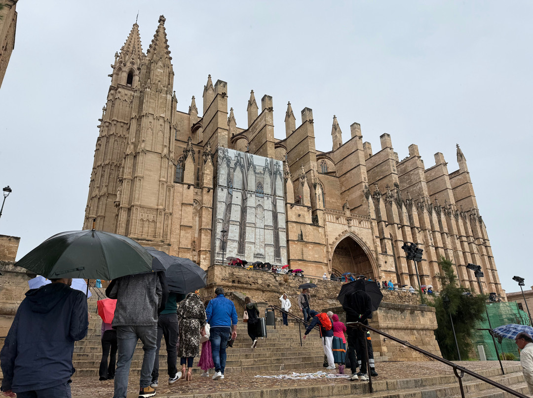 Mallorca Free Tour-马洛卡帕尔马必去景点