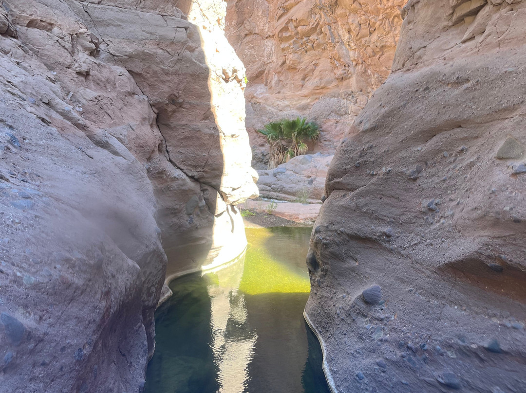 Loreto Guide with Said Orozco-洛雷托必去景点