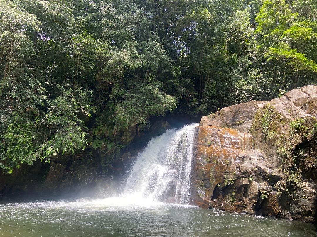 Sinharaja Forest Edge主图