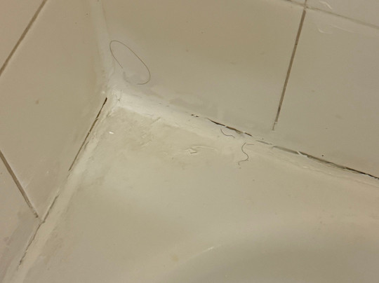 Extended Stay America - North Chesterfield - Arboretum主图