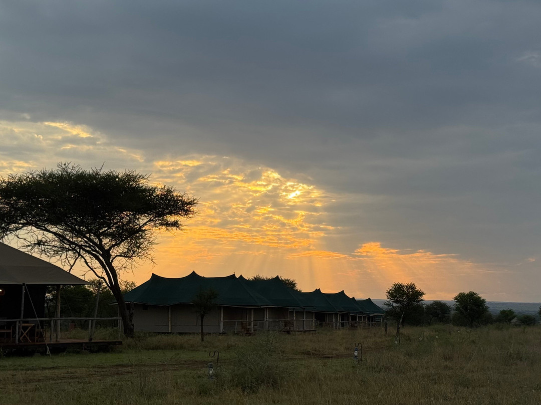 Afromasai Eastern Safaris-阿鲁沙必去景点