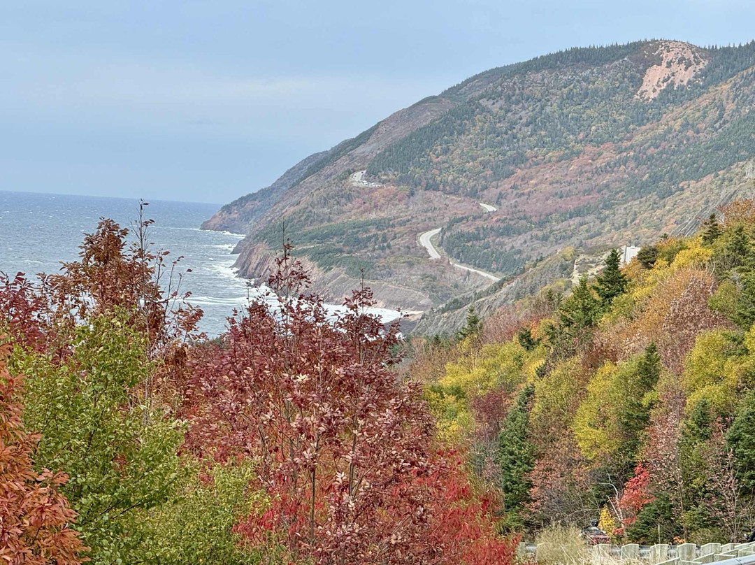 Down East Tours-哈利法克斯必去景点