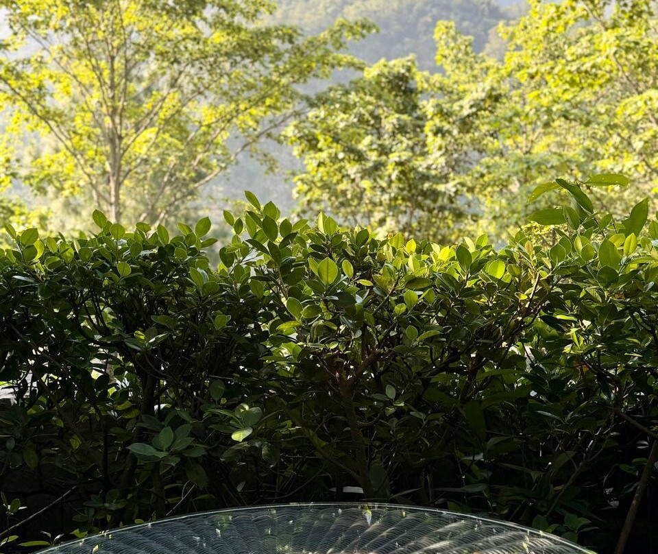 Taj Rishikesh Resort & Spa主图