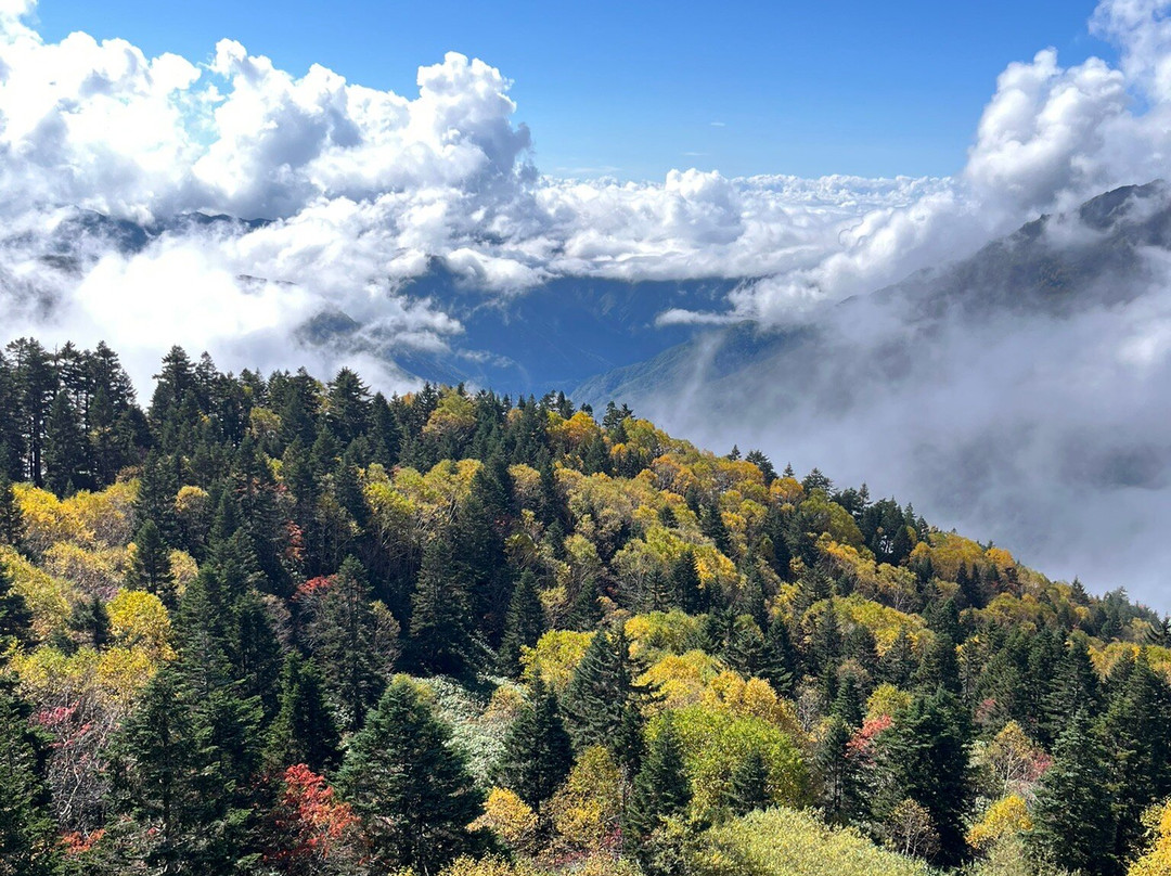 新穗高缆车-高山市必去景点