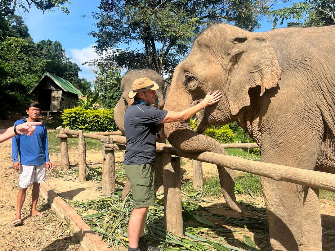 Elephant Village Sanctuary & Resort-琅勃拉邦必去景点