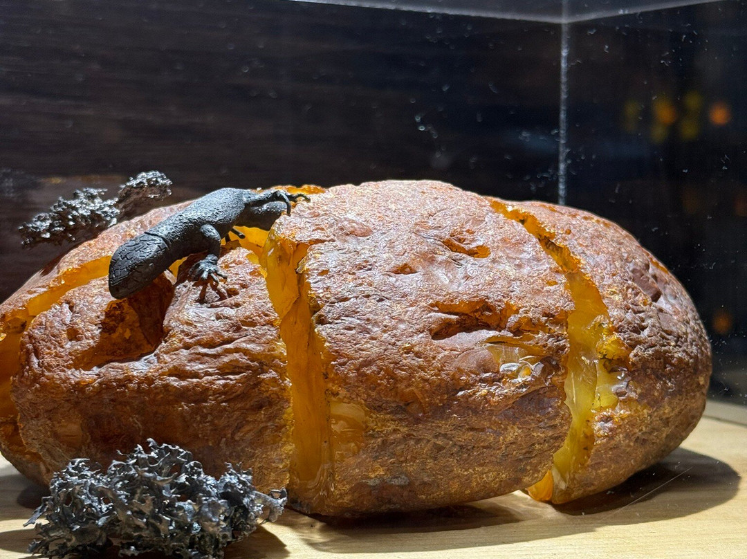 波罗的海首饰加工场-Ribnitz-Damgarten必去景点