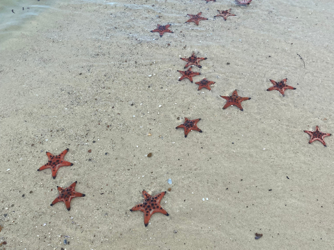 Amega Tour and general trading company limited-河内必去景点