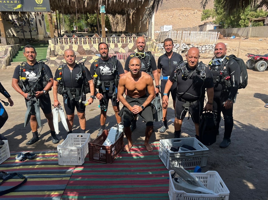 Penguin Divers Club-达哈卜必去景点