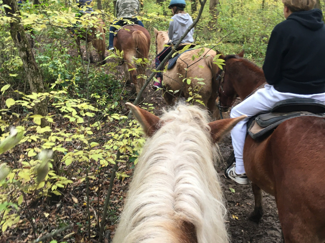 Red Ridge Riding Stable-Mauston必去景点