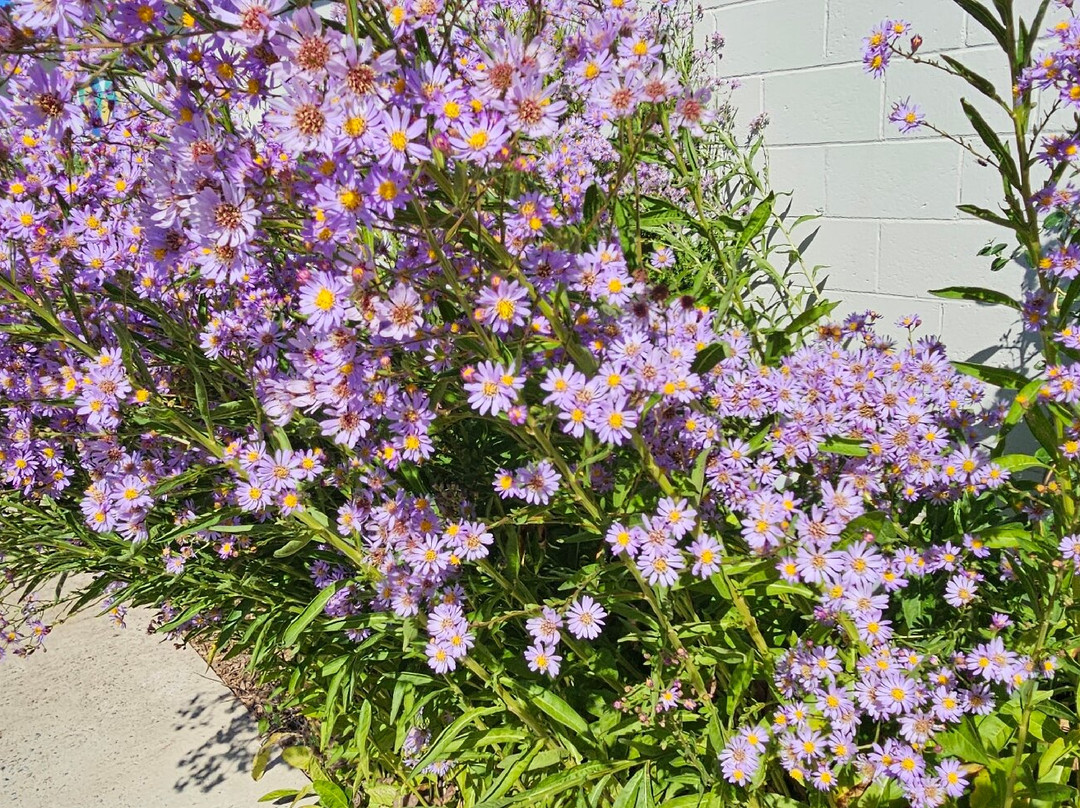 Harford County Agricultural Center-Street必去景点