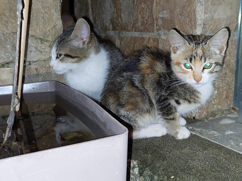 Sandy Beach Resort - Rizos Resorts主图