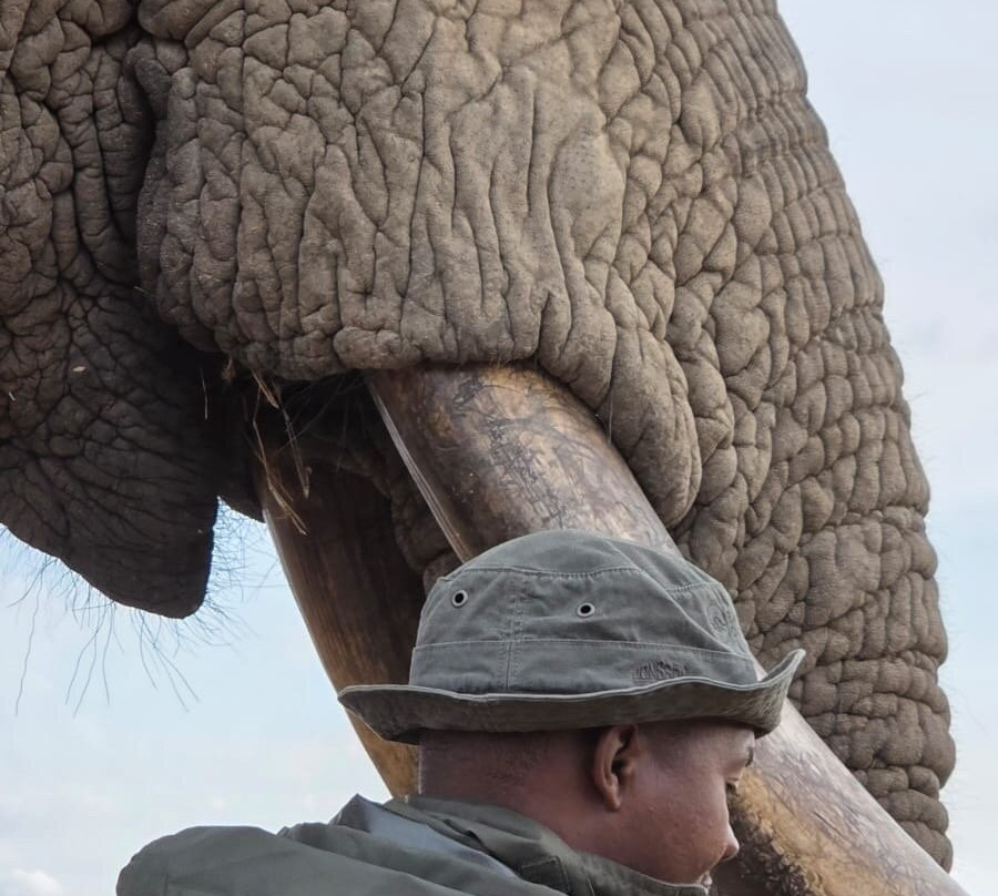 Imire: Rhino & Wildlife Conservation-韦扎必去景点