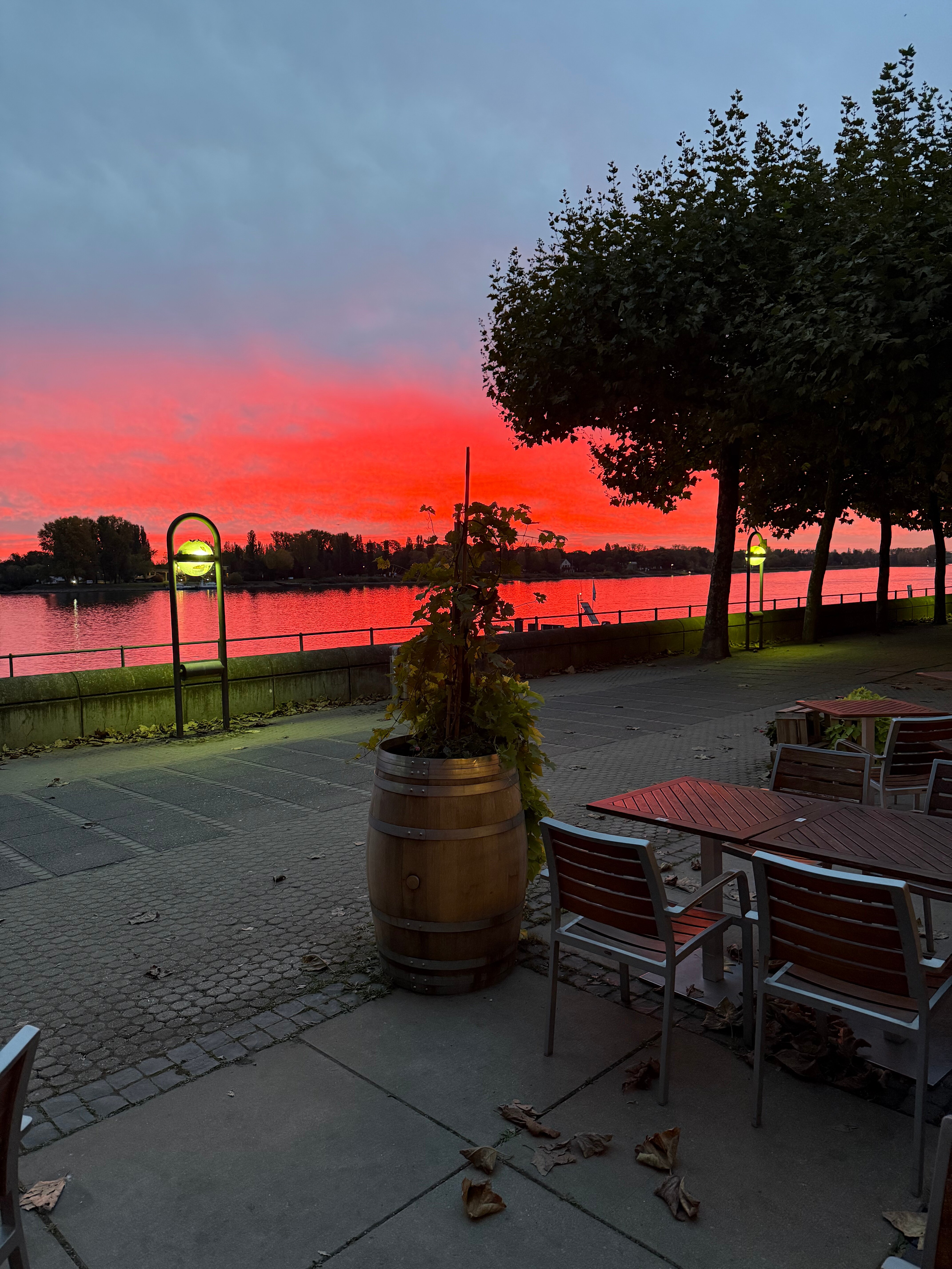 美因茨希尔顿酒店-浴室