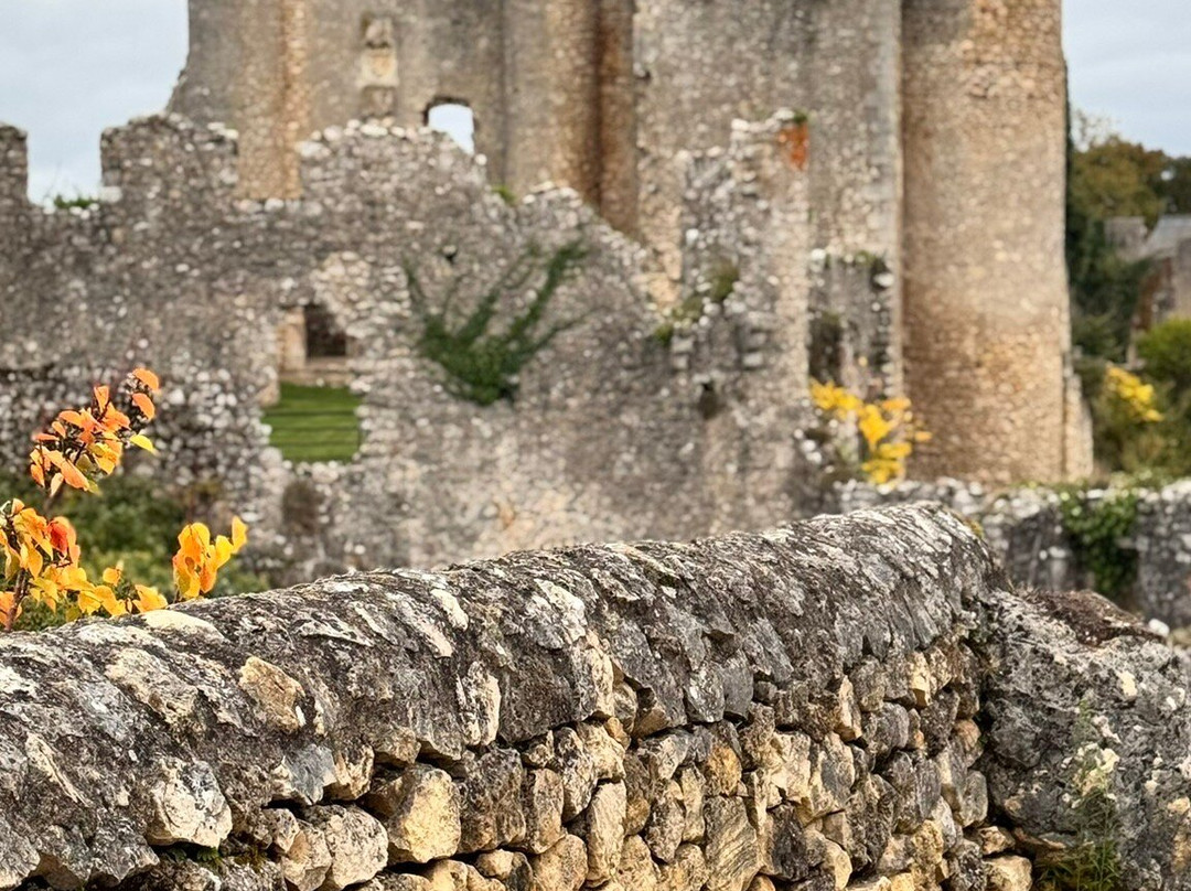 Château d'Angles-sur-l'Anglin-Angles sur l'Anglin必去景点