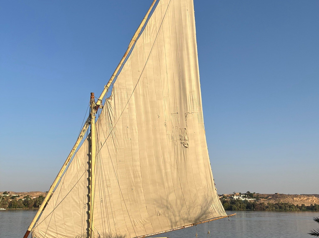 Hamdy Cook Felucca-亚斯文必去景点