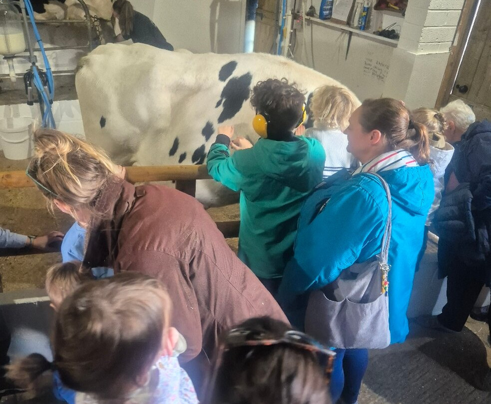 Farmer Palmer's Farm Park-普尔必去景点