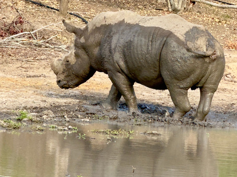 MyAfrica-霍德斯普鲁特必去景点