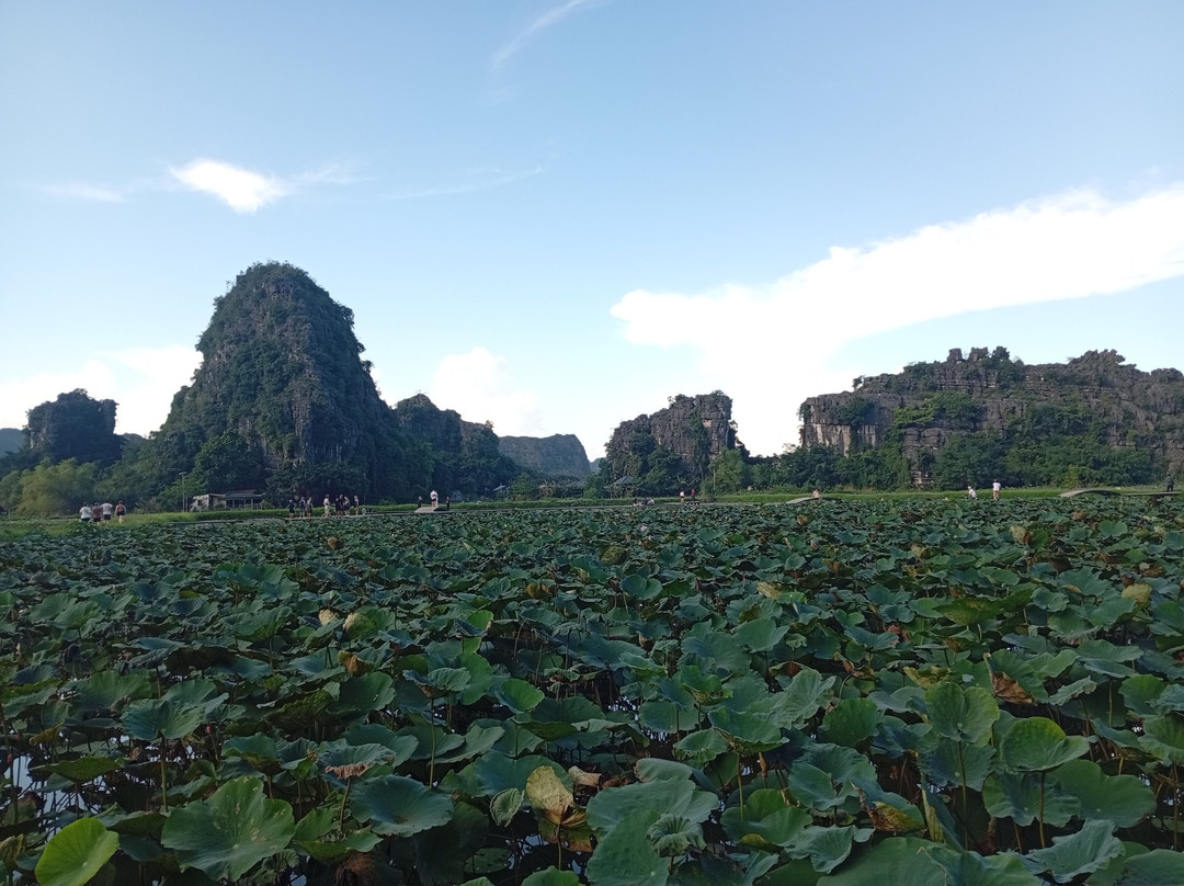 Vietnam Buffalo Travel-河内必去景点