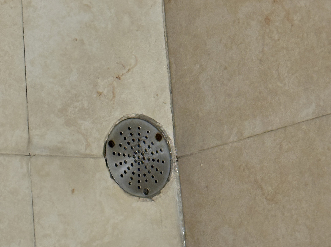 费斯塔客栈酒店主图