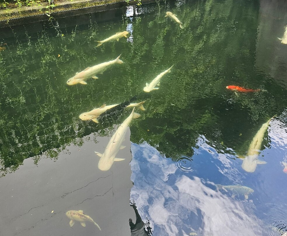 Manhattan Pattaya主图