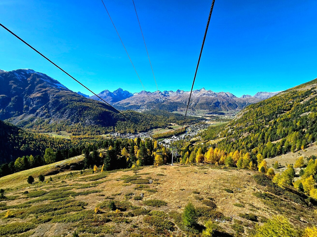Höhenweg Muottas Muragl . Alp Languard