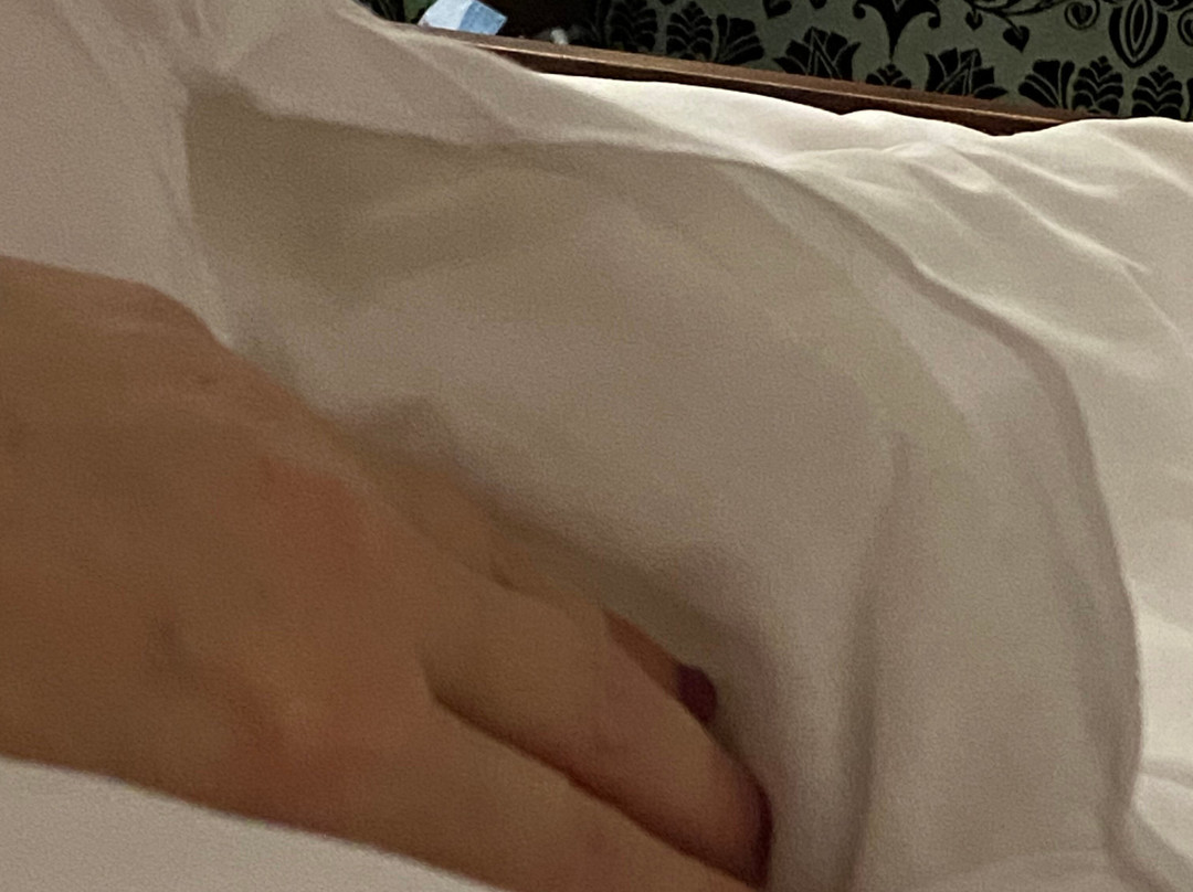 伊利别墅酒店主图