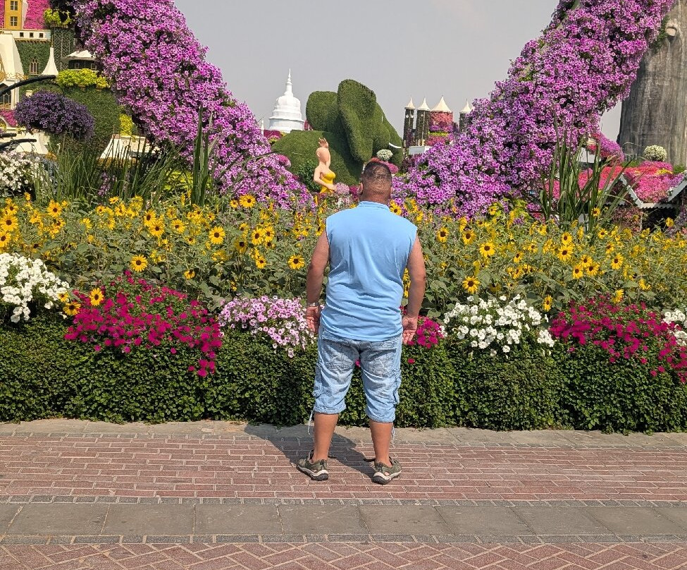 Akira Tours-迪拜必去景点