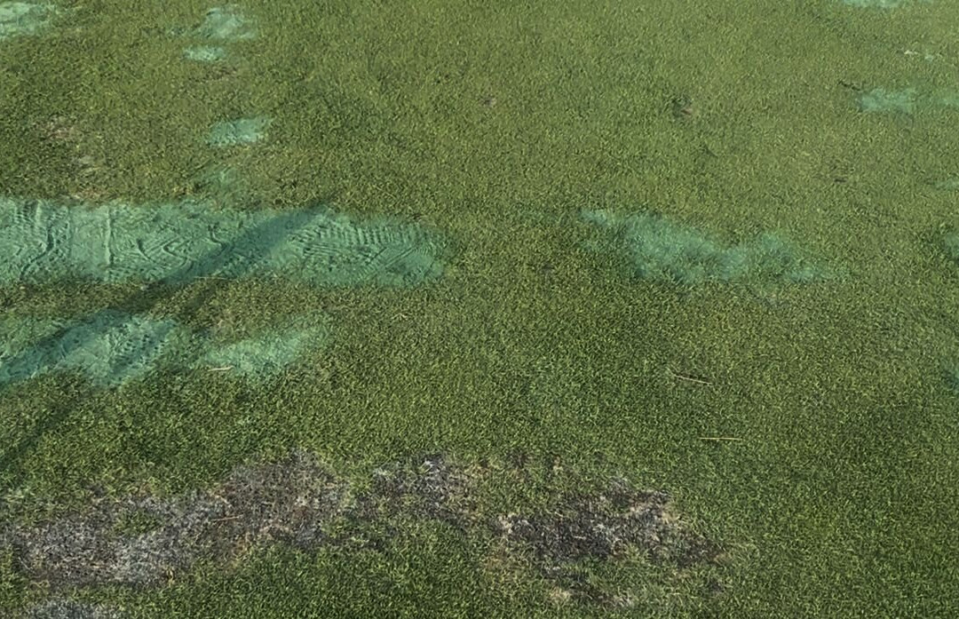 Club De Golf Bonalba-Mutxamel必去景点