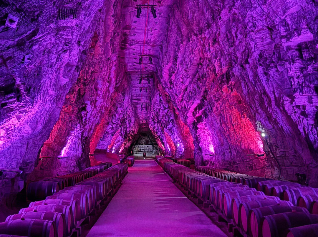 Terra Vinéa-Portel-des-Corbieres必去景点