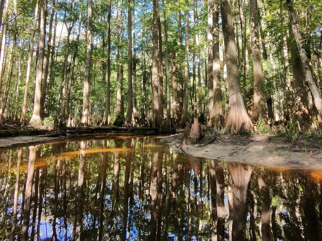 Shingle Creek Regional Park-基西米必去景点