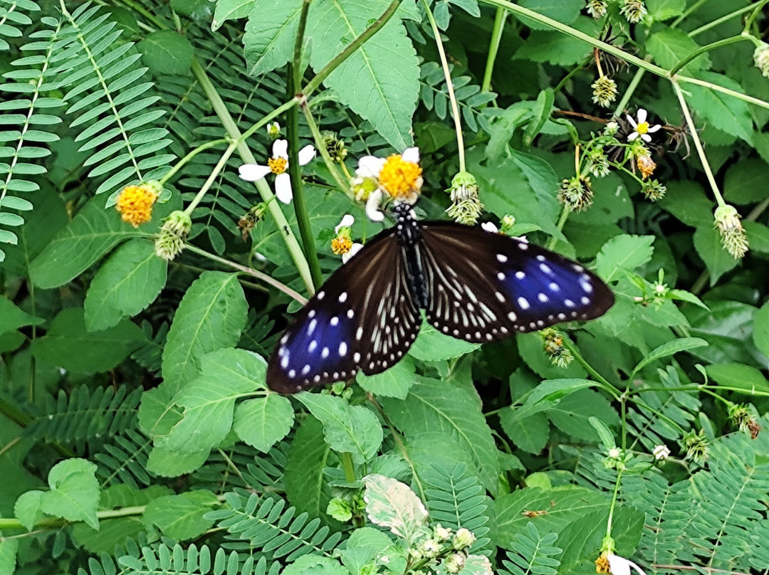 Cat Ba Kayak Adventures-下龙湾必去景点
