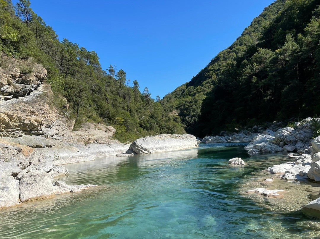 The Frogs' House主图