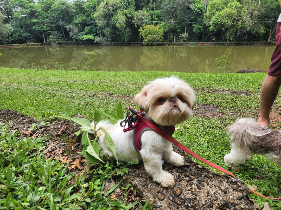 Parque Aui Maue-索科罗必去景点