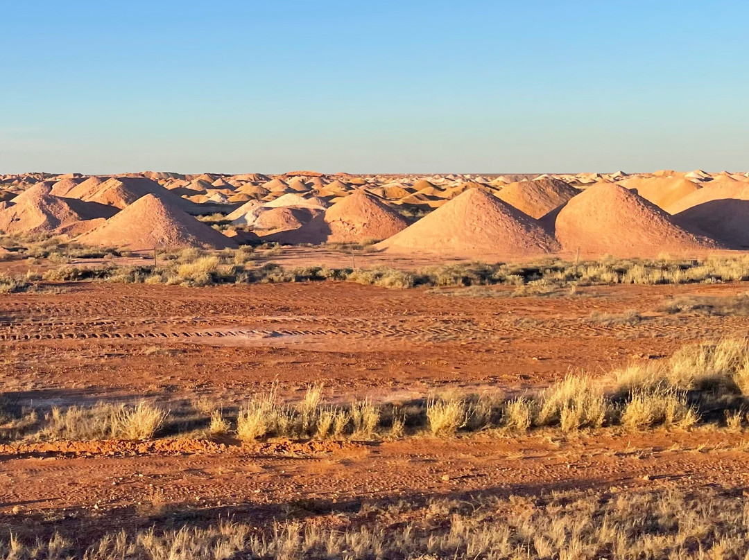 Gekko Safari - Outback Tours-Belair必去景点