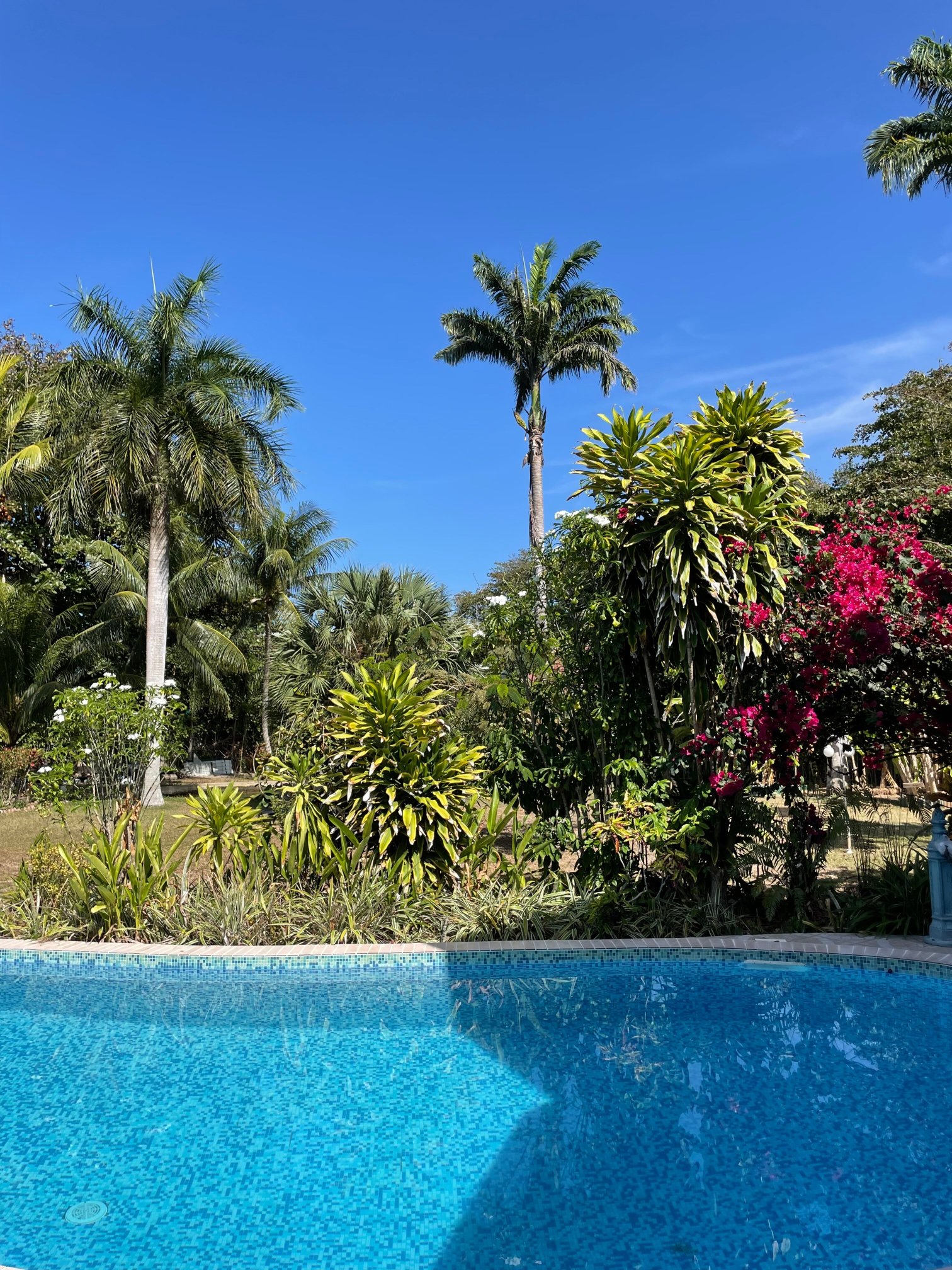 La Diguoise Guesthouse-官方