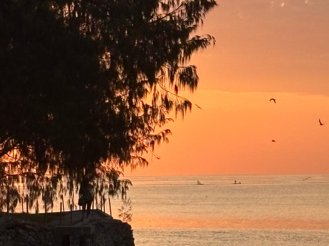 Gladstone Region Tours-Gladstone必去景点