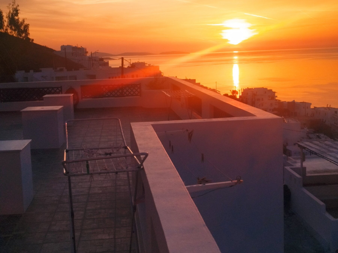 Belvedere Studios主图