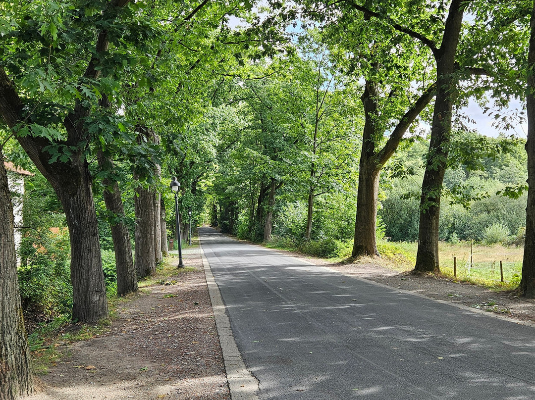 Ter Dolen-Houthalen必去景点