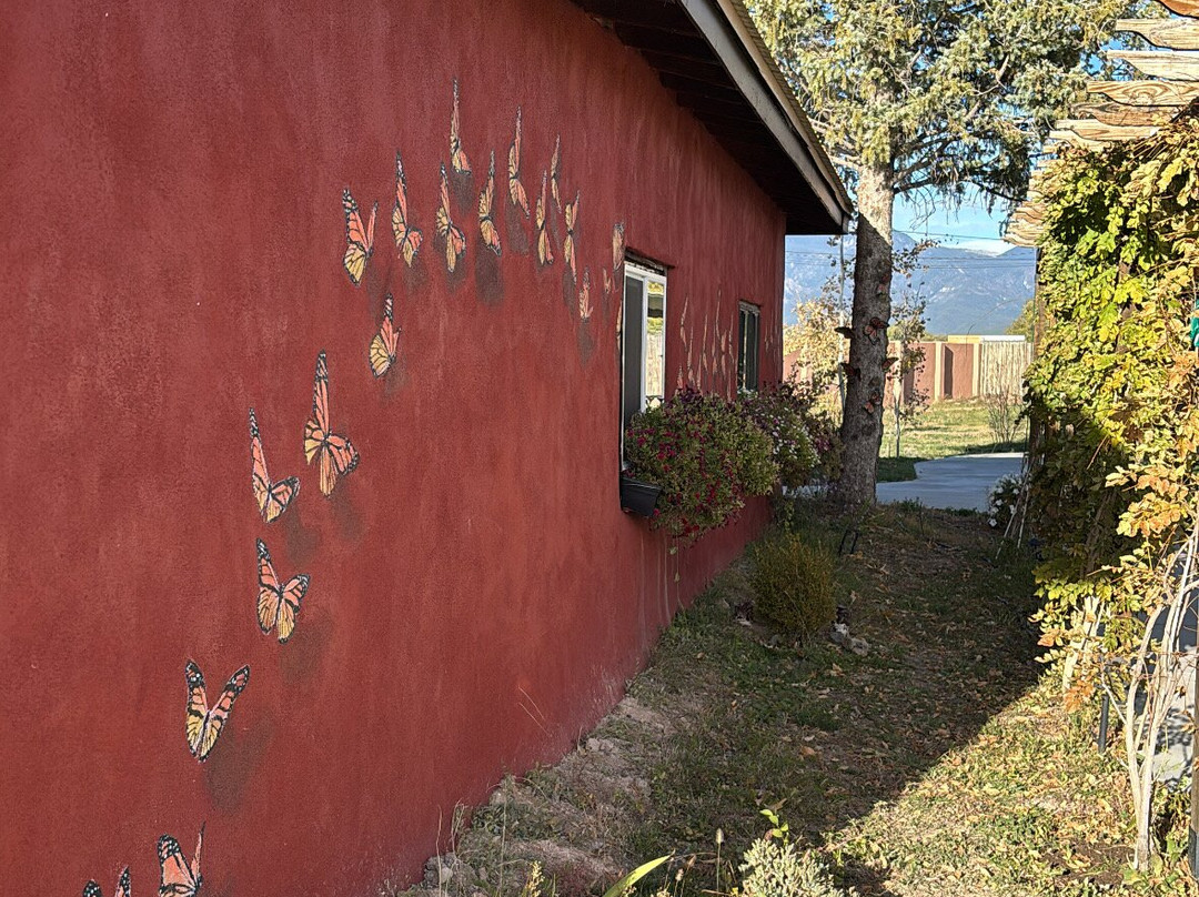 Desert Flower Boutique Hotel主图