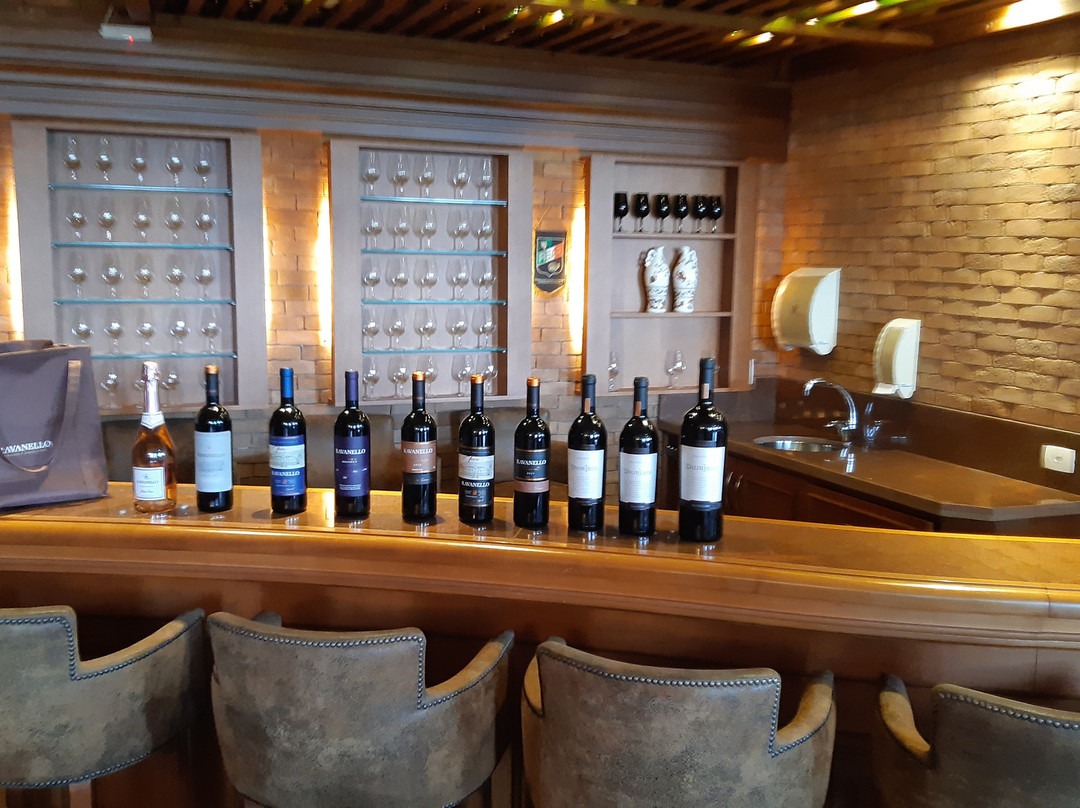 Vinícola Ravanello-格拉玛多必去景点