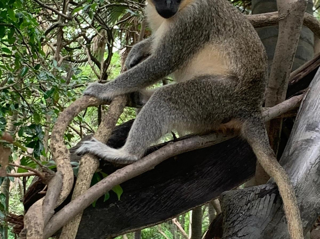 Gambia and Senegal tours with Ebrima-Tanji必去景点