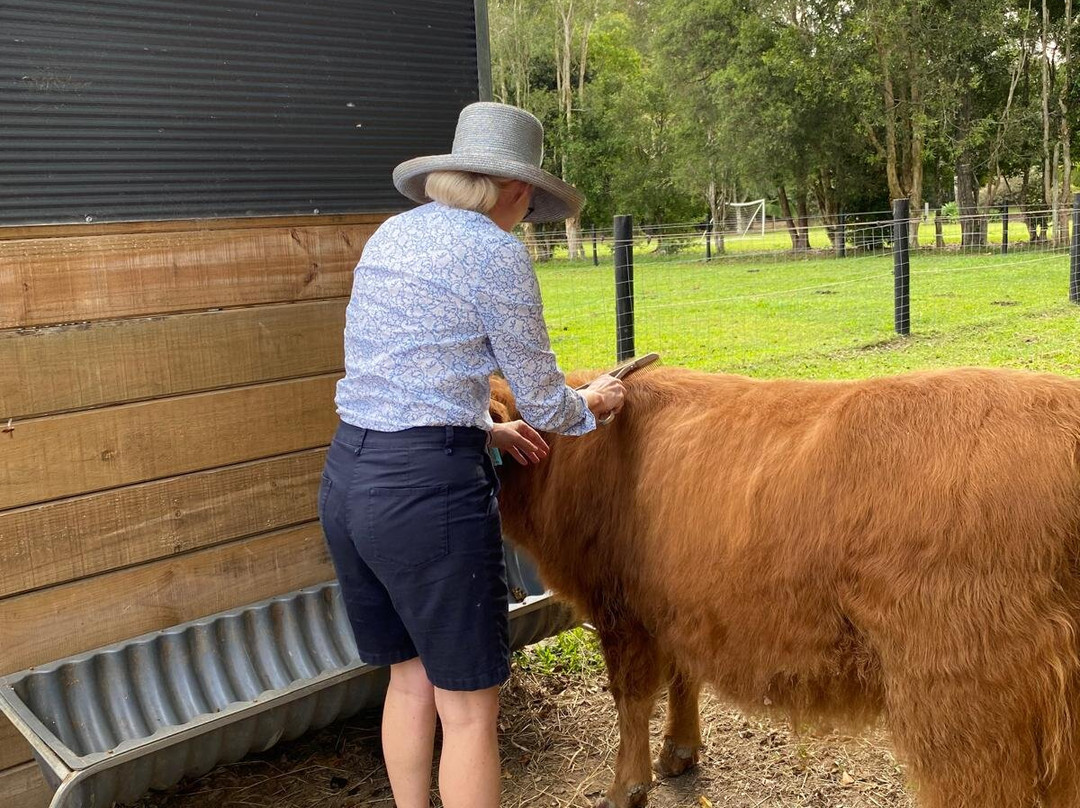 Bexland - Exclusive Highland Cow and Farm Experiences-Doonan必去景点