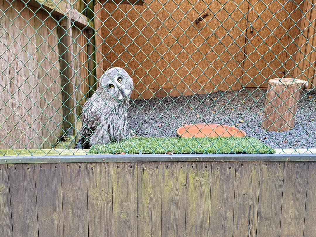 Wildpark-巴德马林贝尔格必去景点