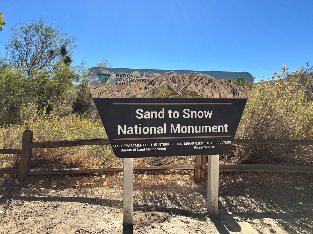 Big Morongo Canyon Preserve-Morongo Valley必去景点
