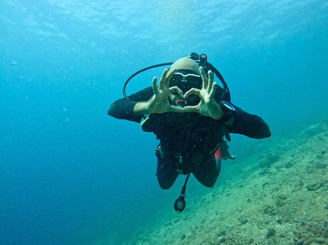 Dive Point Jeddah-吉达必去景点
