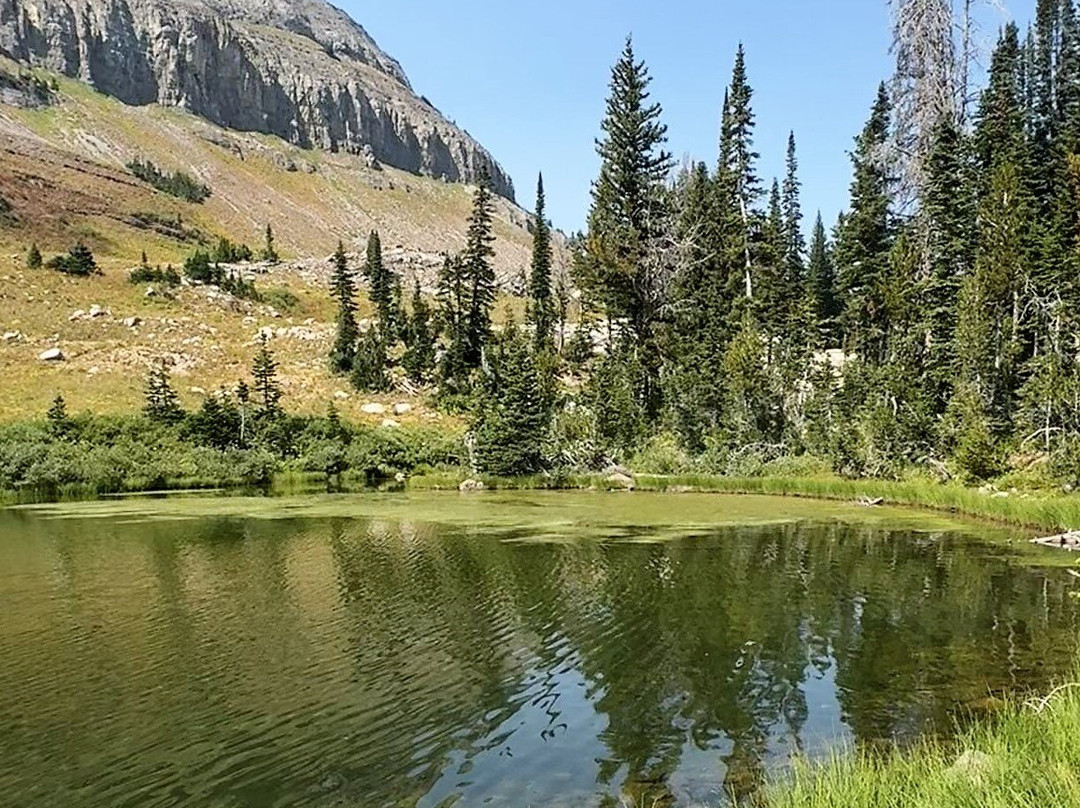 Dry Ridge Outfitters-德里格斯必去景点