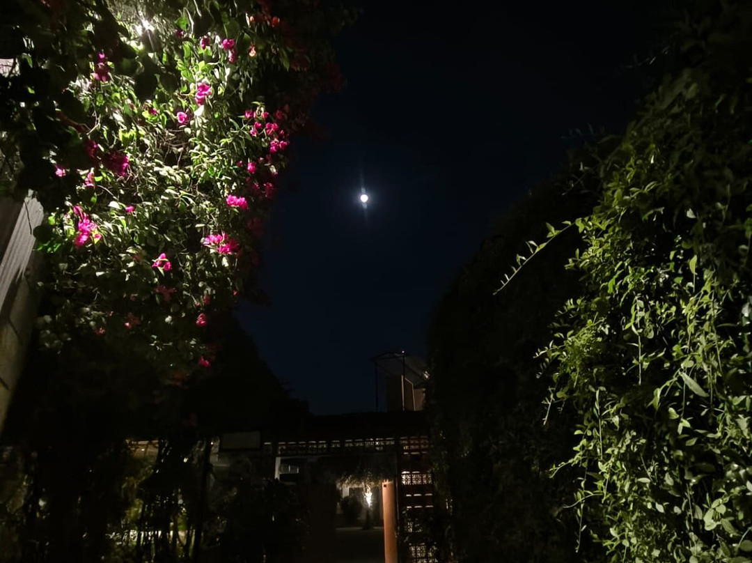 Status Club & Resort主图