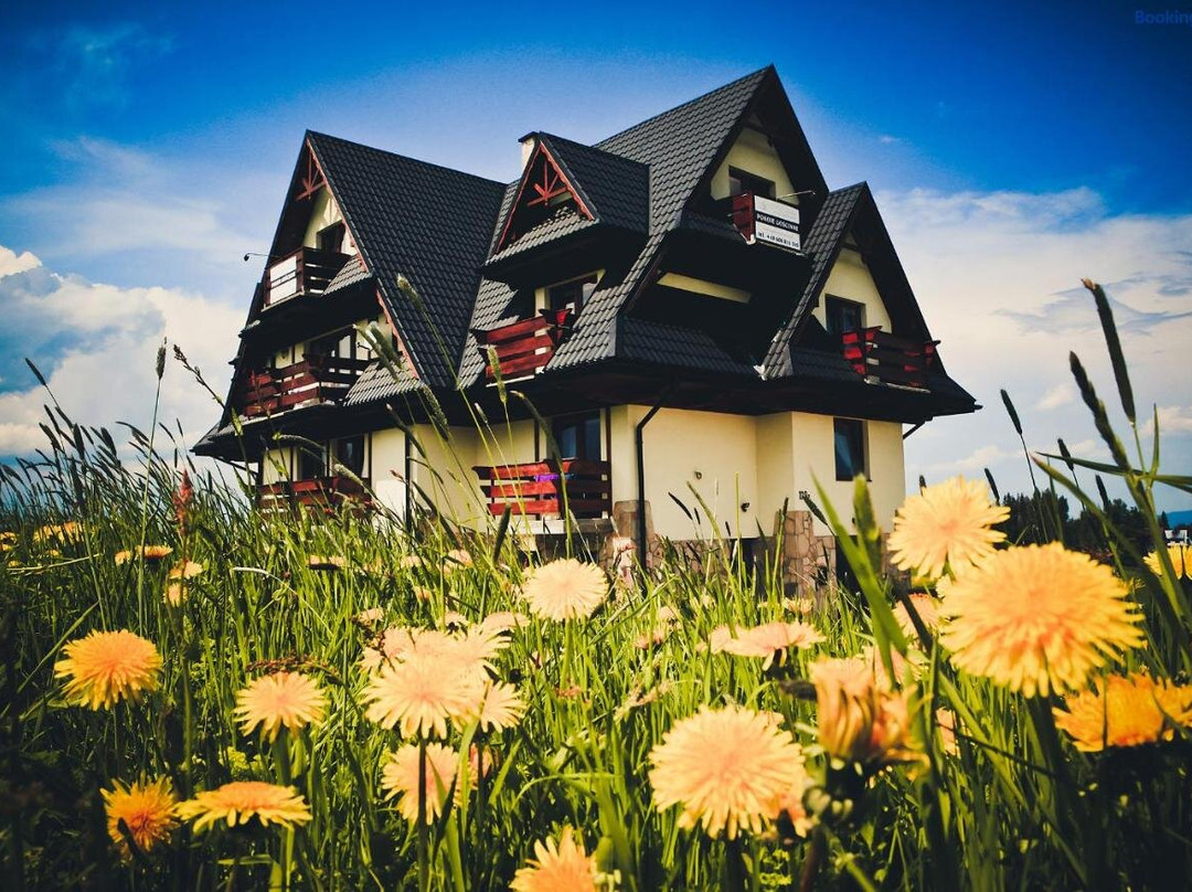 Gliczarow Gorny酒店住宿-Willa W Gliczarowie