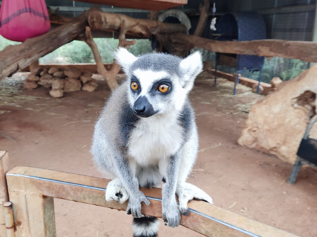 Pafos Zoo-帕福斯必去景点