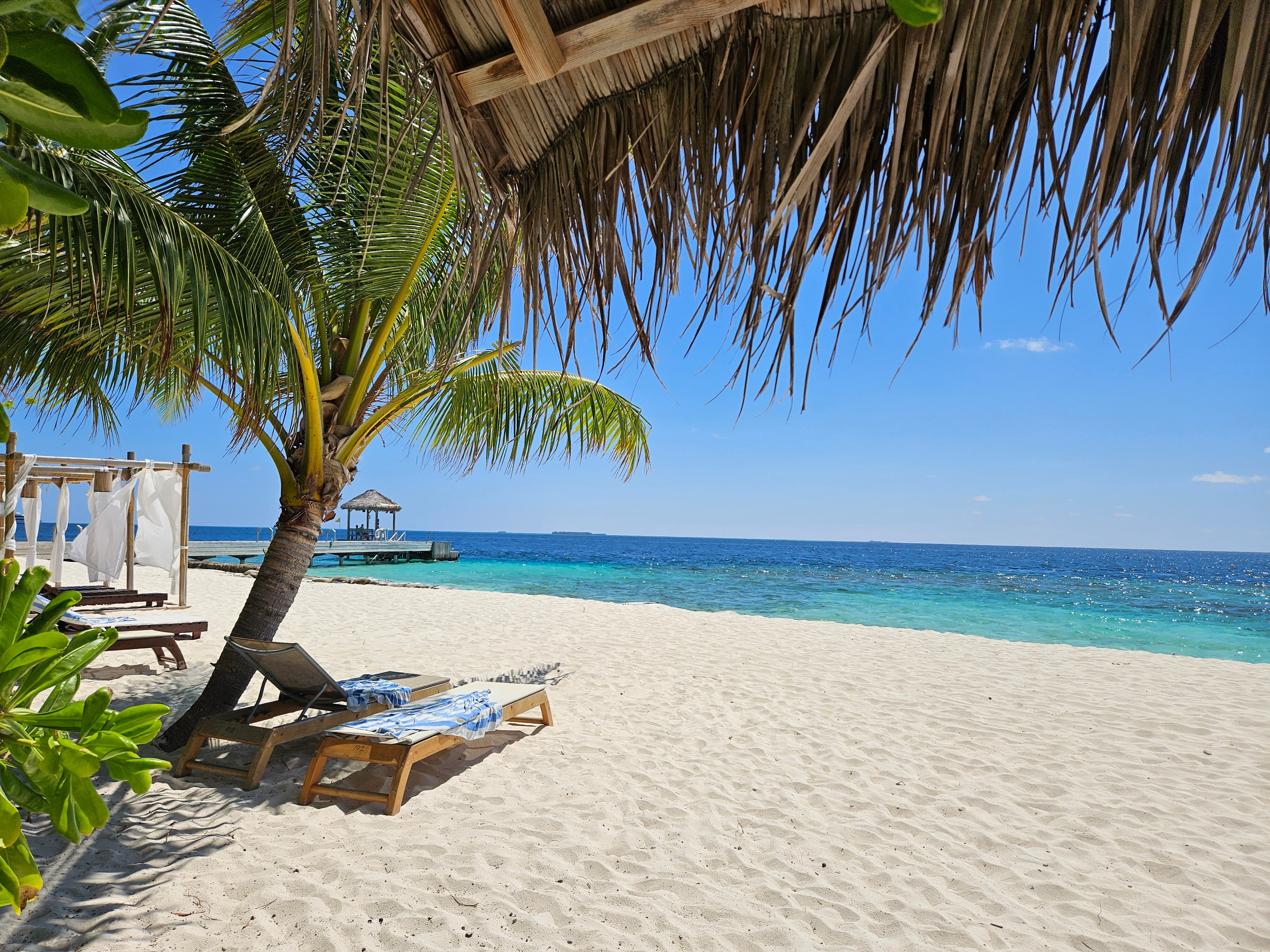 巴塔拉度假村-泳池